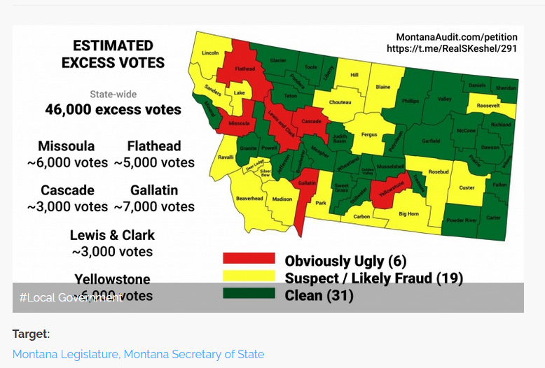 Montanan Election Audit 2020